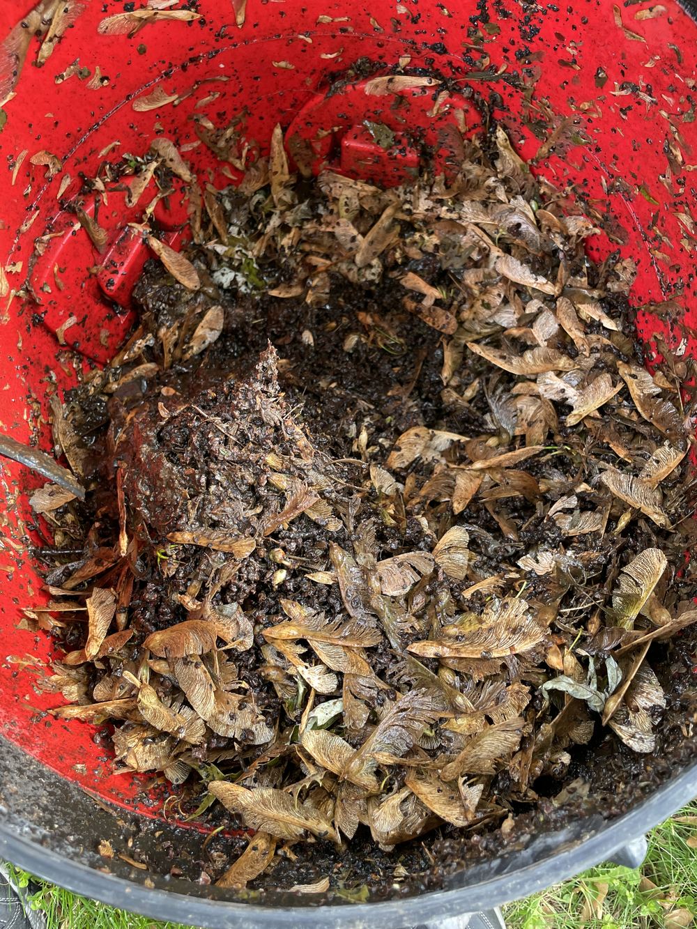 Chaudière remplie de feuilles et de débris retirés des gouttières d'un client