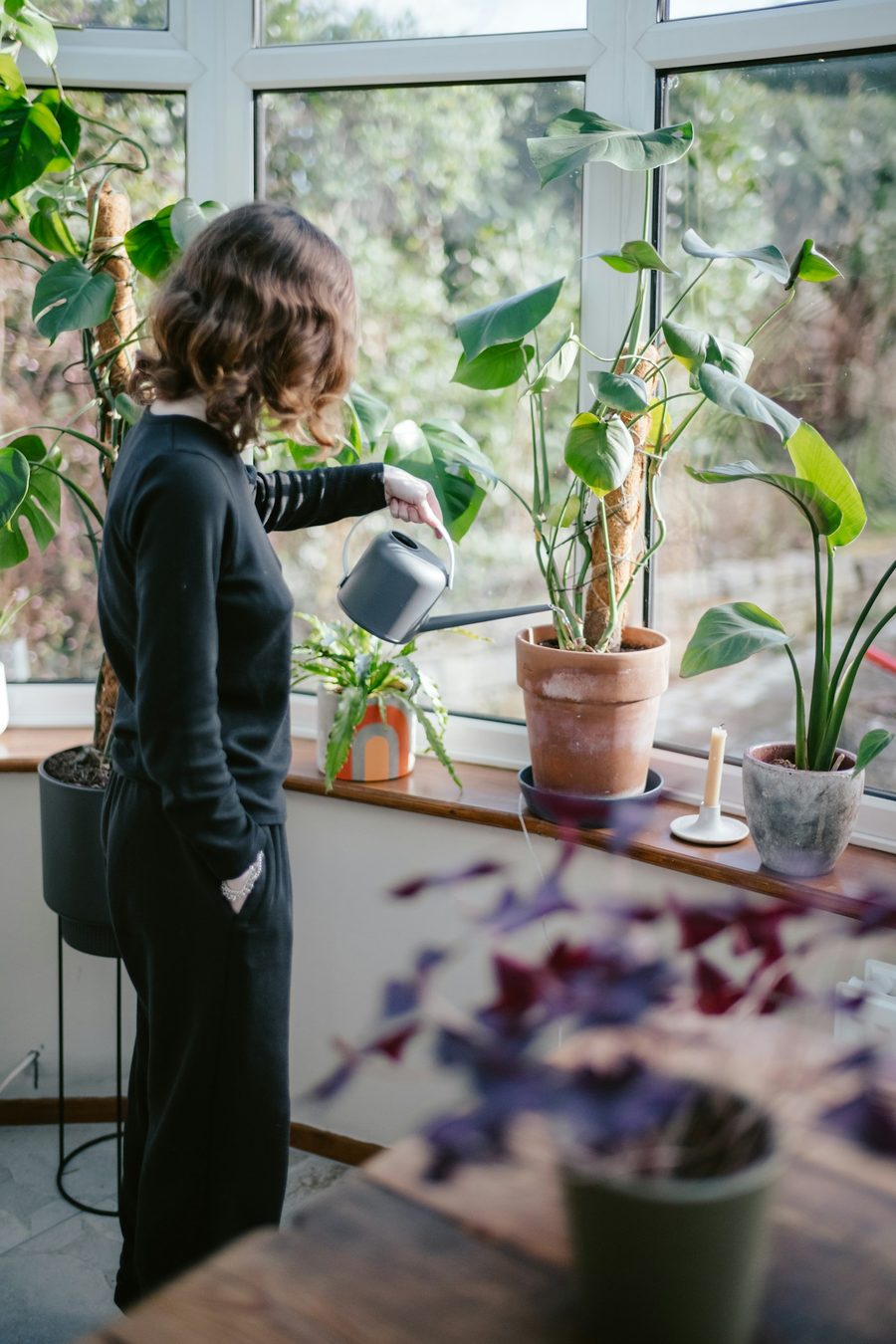 Arrosage de plantes