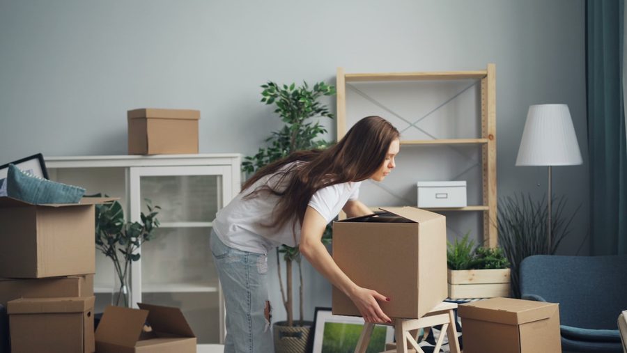 Une paire de bras pour soulever et déplacer